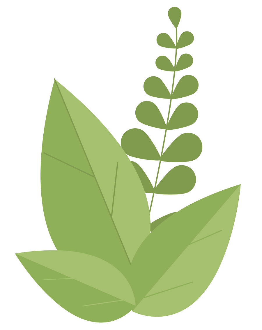 decorative graphic of green leaves